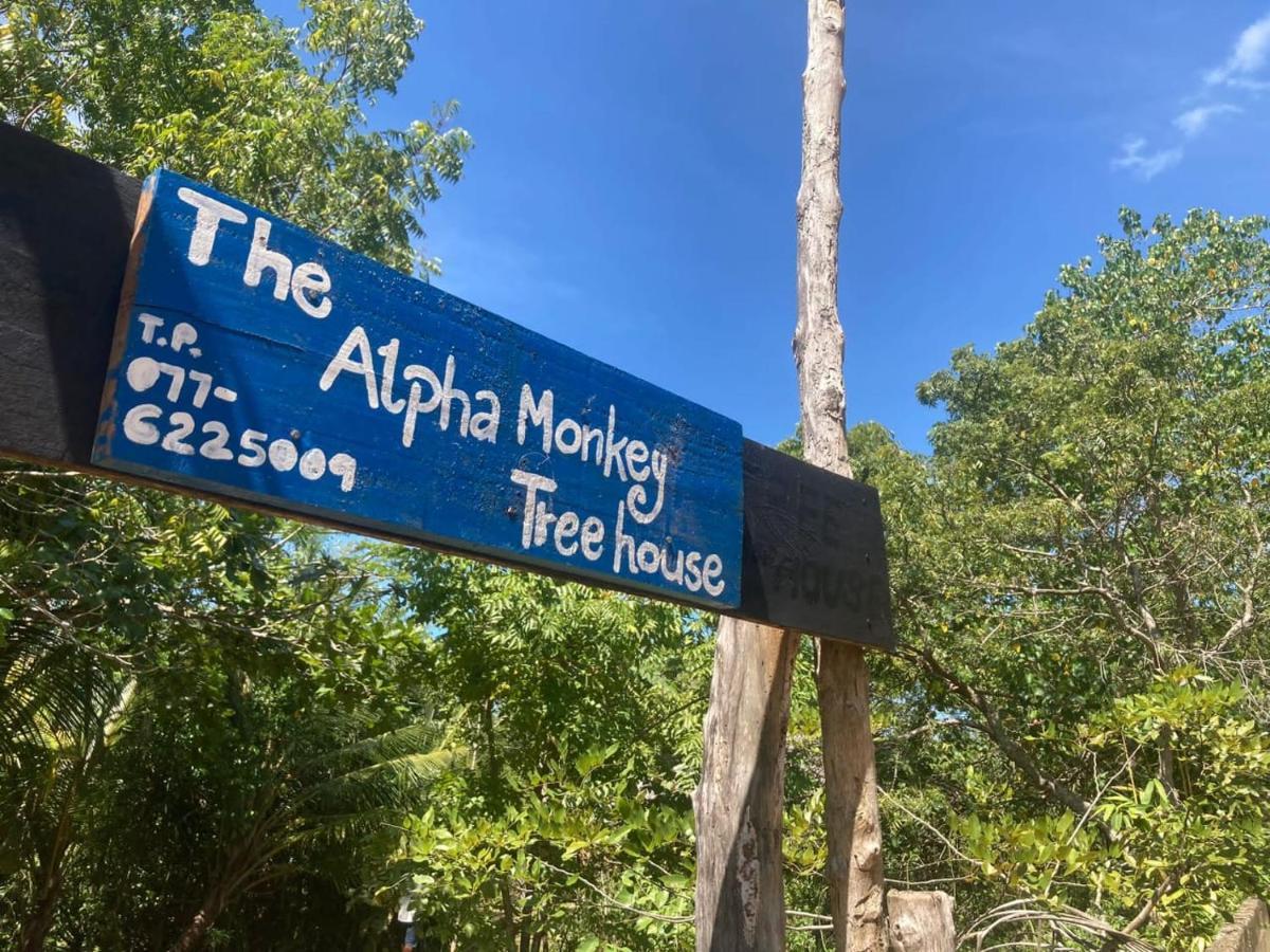 فندق The Alpha Monkey & Tree House تانجالي