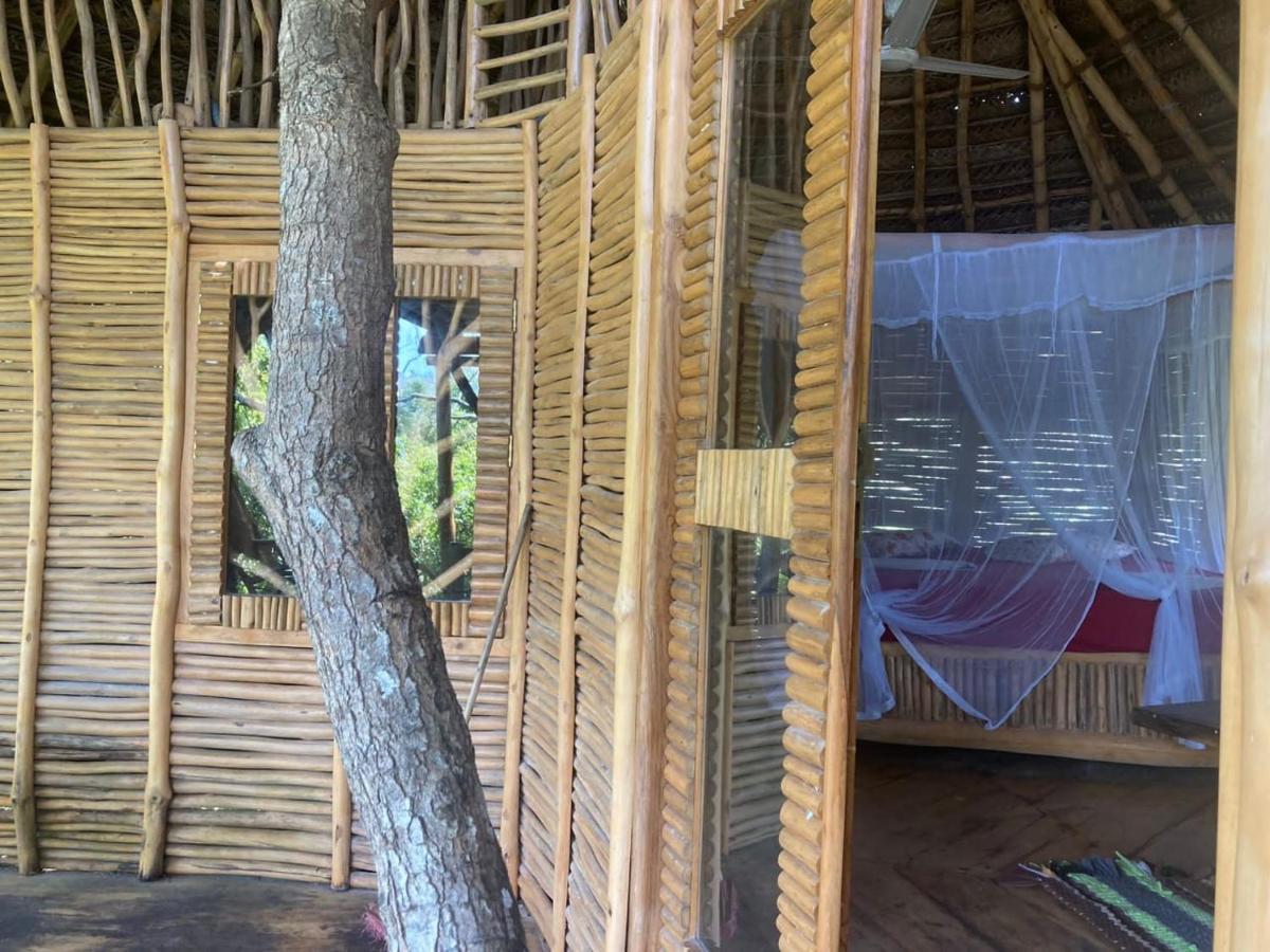 فندق The Alpha Monkey & Tree House