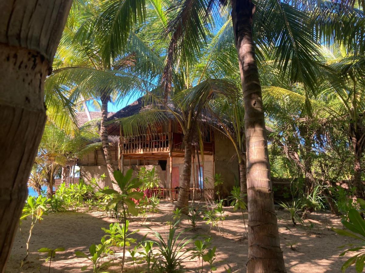 Отель The Alpha Monkey & Tree House *